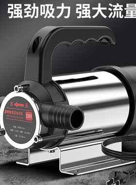 油水两用电动抽油泵正反转抽水泵12V24V220V小型抽柴油机抽油神器