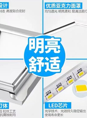 327X327巴迪斯美赫327X654适用铝扣板集成吊顶卫生间led平板灯