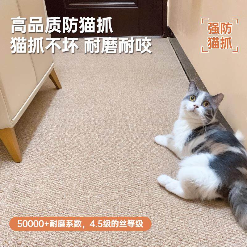 玄防猫抓地垫入户门进门xy-xtt-c高级彷剑麻客厅地毯门关可裁垫剪