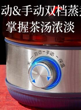 煮茶器黑自茶煮壶蒸汽普洱热茯茶蒸茶63514茶壶家用全动玻璃电花