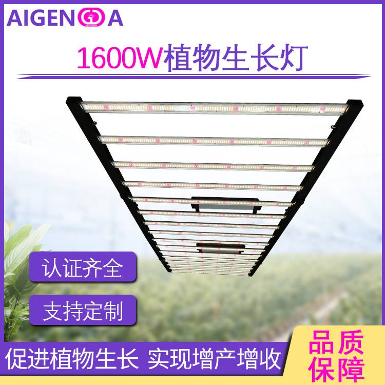 2.4米LED植物生长灯1600W LED泰国大功率1000W全光谱植物灯4x8ft