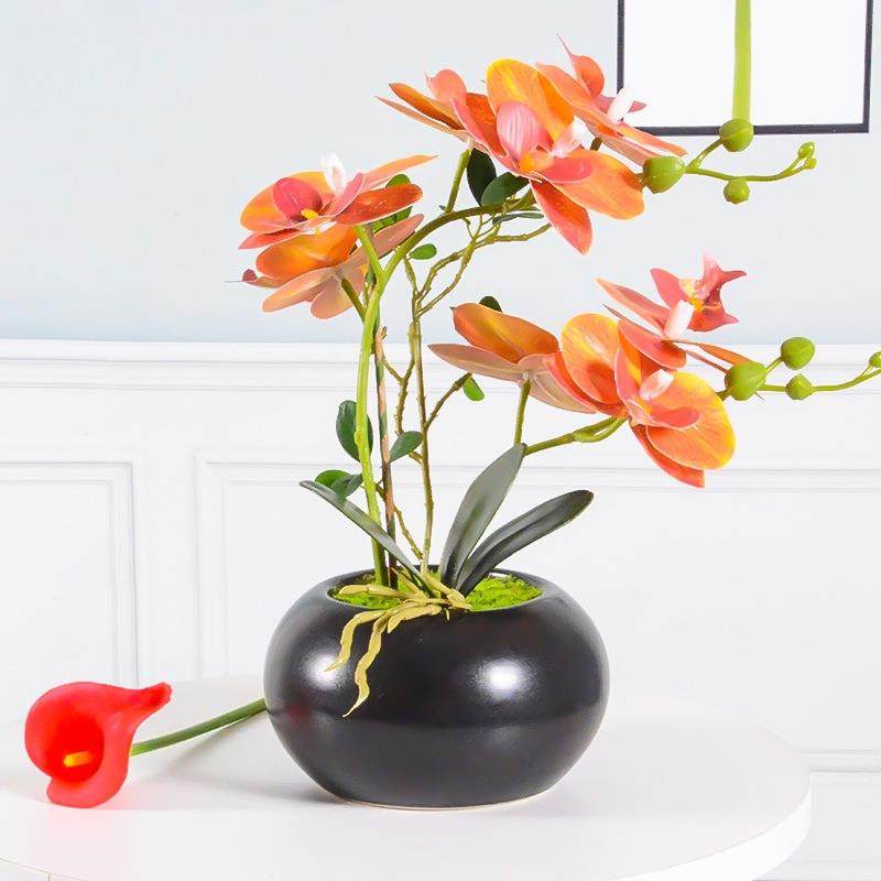 高档蝴蝶兰仿真花艺摆件餐桌客厅电视柜盆栽装饰假花兰花套装摆设,鲜花速递/花卉仿真/绿植园艺,割草机/草坪机,淘宝优惠券,粉丝福利购,淘宝优惠卷