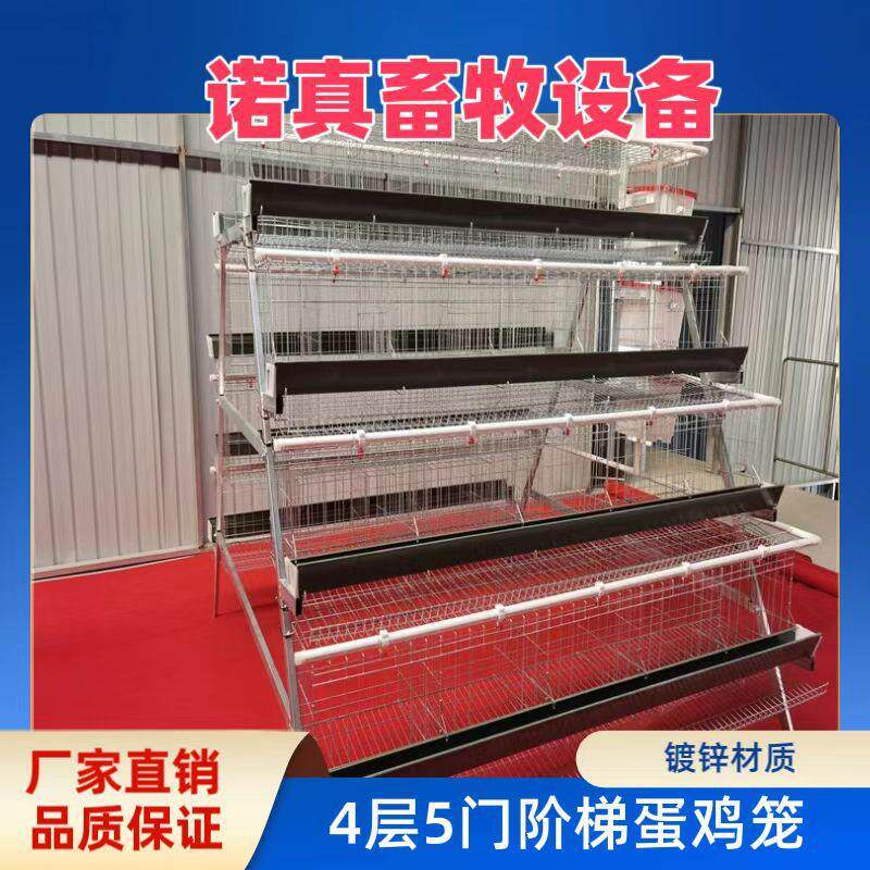四层五门阶梯式蛋鸡笼A字型蛋鸡笼镀锌材质工厂直发外贸出口