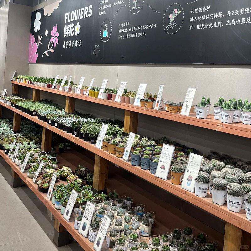 门花店鲜中岛展示柜展示架花定店装饰摆件操作台柜子花店展示制整