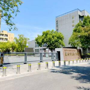 浙省校园防冲撞路控桩全自动升降柱远程遥伸电缩柱动877液江压路