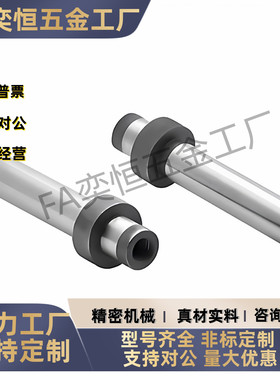 OFH11-D10-L40 OFH12-D13-L70 OFH15-D16-L50 60卸料板导柱