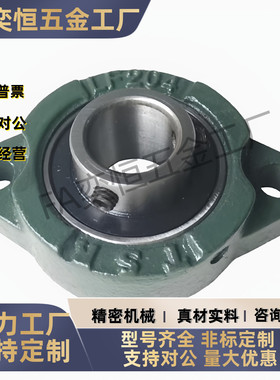 带座轴承轴承座T-BDV-201G 202G 203G 204G 205G 206G 替代 现货