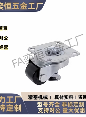 脚轮CGP01-D65/CGP01-D75 /CLT01-D50-NE带偏心调整块脚轮