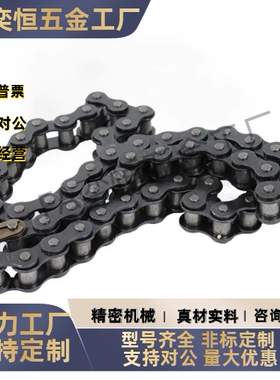 链条VMB/VMC/VMD/VMF/VMG/VMK/VML/VMN01-25/35/40/50/60/80/100