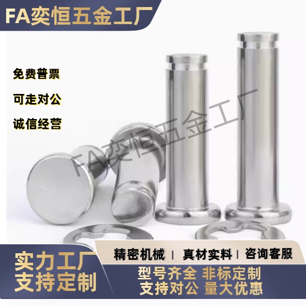 SHCCG SHCDG SHCCGH3 4 5 6 8 10-10 15 20 25 30铰链销CCG CCGH