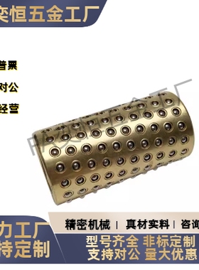 滚珠滑套标准型  C-SSBGS 3 4 5 6 8 10 12- 10 15 20 30 40 现货