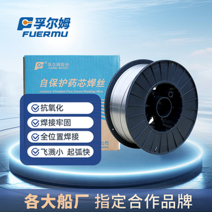 孚尔姆气体保护专用焊丝药芯二保焊丝0.8/1.0/1.2mm碳钢无气自保