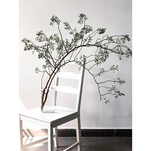 is山归来风藤条垂DEO有感鲜花花材又明蔷薇果高级感花n材小众稀花