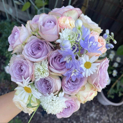 紫丁香 月季苗阳台庭院盆栽迷人紫色调观花绿植四季耐晒花卉