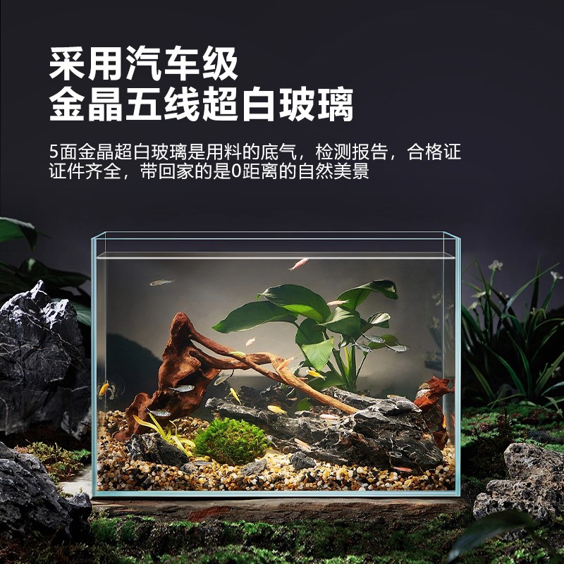 金晶超白鱼缸2025新款孔雀斗鱼专用玻璃缸客厅家用小型桌面乌龟缸图片