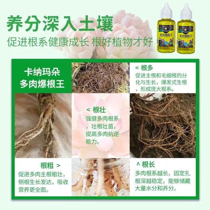 八个老头多肉爆根王快速生根液壮苗剂多肉植物专用养花水肥营养液,鲜花速递/花卉仿真/绿植园艺,家庭园艺肥料,淘宝优惠券,粉丝福利购,淘宝优惠卷