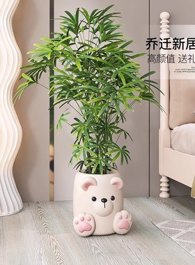 卡通熊奶油风花盆摆件家居饰品家用客厅玄关绿植花瓶乔迁新居礼品