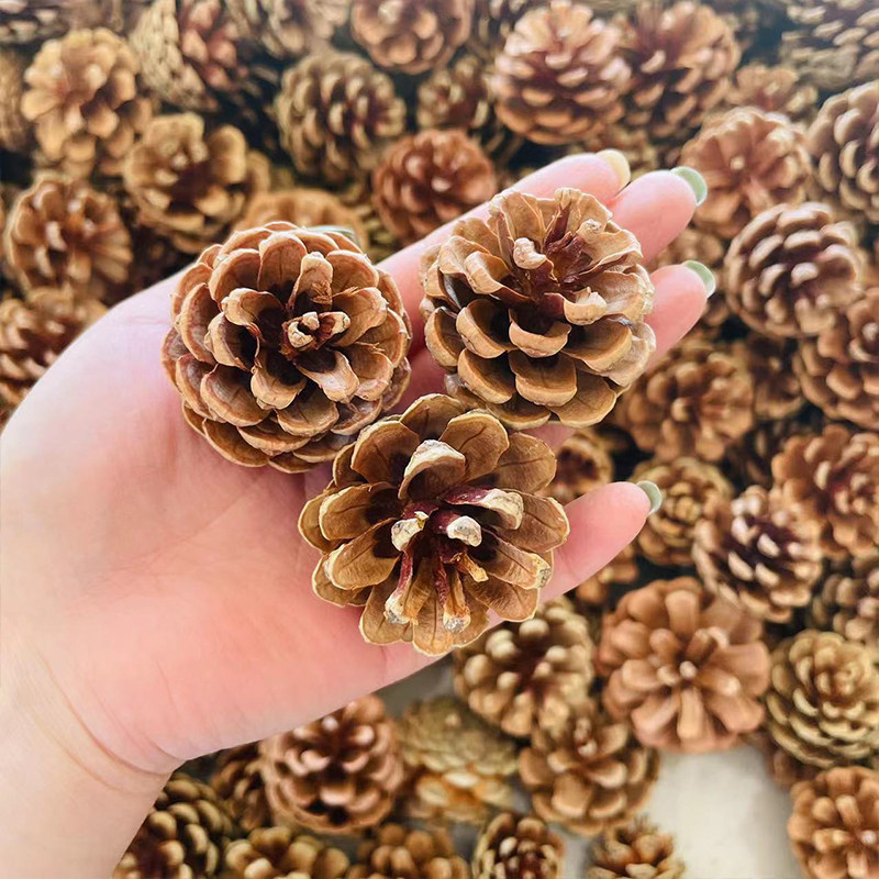 包邮100个松果装饰手工制作松果松球圣诞松果干花拍摄道具diy材料