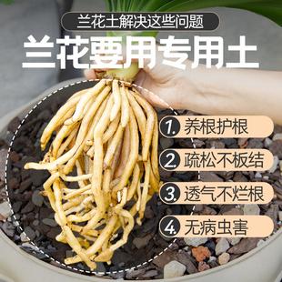 兰花专用土松磷兰草兰科营养土蝴蝶兰君子兰花土专用绿植壤营养土