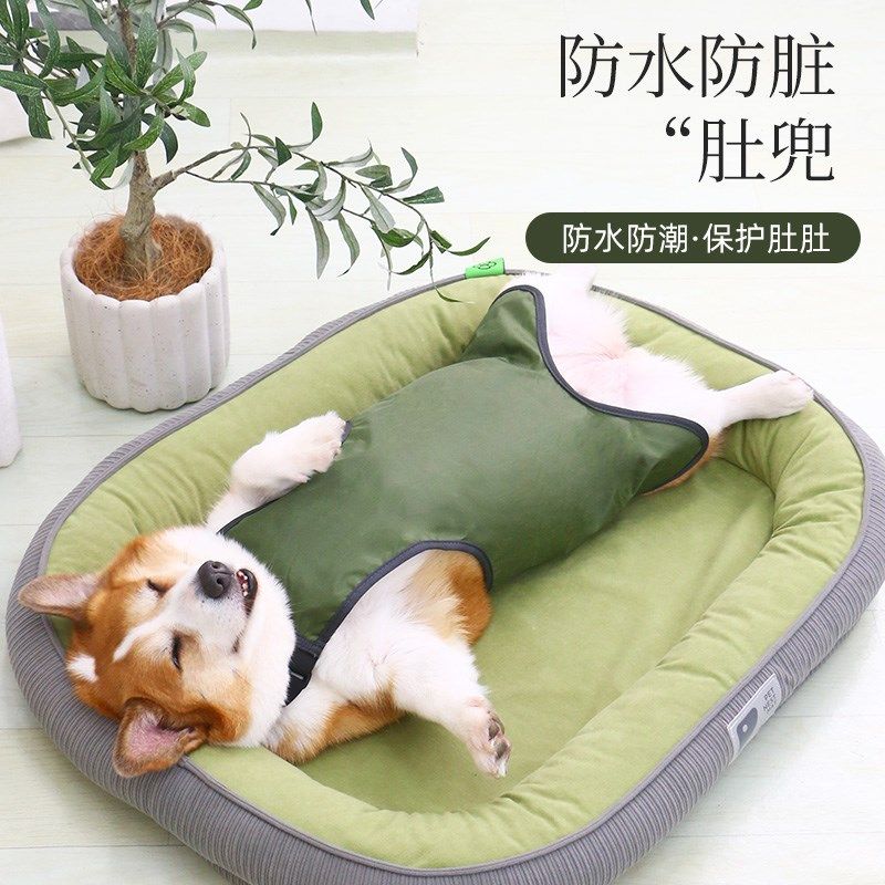 宠物狗狗肚兜防水防脏衣服护肚子防着凉柯基泰迪柴犬夏季四季通用,宠物/宠物食品及用品,狗宠物服装/雨衣,淘宝优惠券,粉丝福利购,淘宝优惠卷