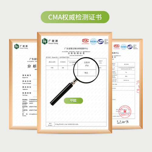蓝润小白墩去除甲醛果冻清除剂活性炭竹炭碳包新房家用新汽车异味