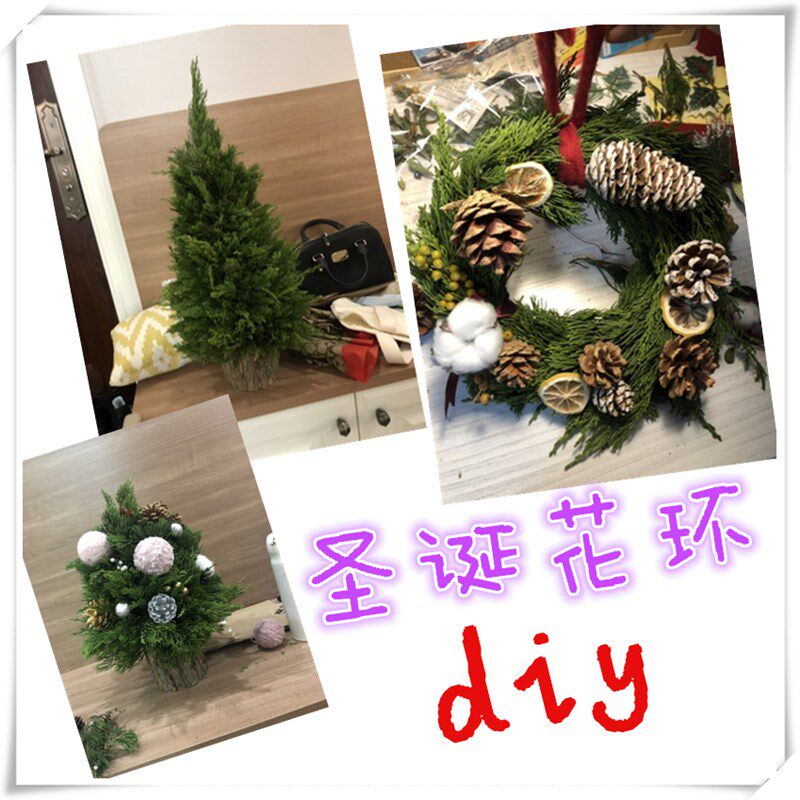 现剪松树枝鲜活天然松柏枝叶真正手工耶诞树装饰diy龙柏枝条摄影