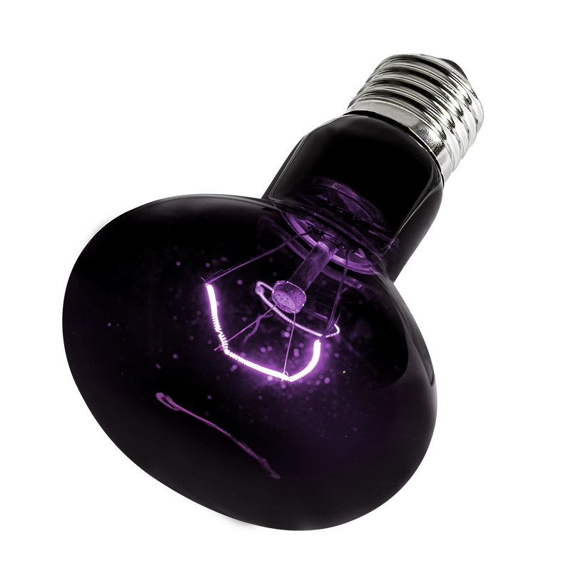 新派宠物爬虫uva加热夜灯刺猬芦丁鸡爬宠缸蜥蜴龟晒背保温取暖灯,宠物/宠物食品及用品,爬宠缸/箱,淘宝优惠券,粉丝福利购,淘宝优惠卷