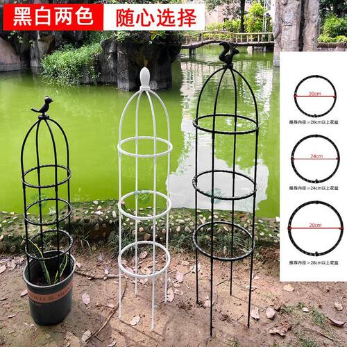 园艺藤本月季植物花卉爬藤支撑架玫瑰盆栽花架绿萝U型花支架支柱