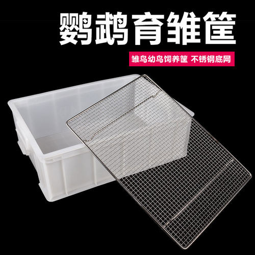 虎皮玄凤鹦鹉育雏不锈钢底网雏鸟幼鸟饲养盒子框保温箱繁殖鸟站网