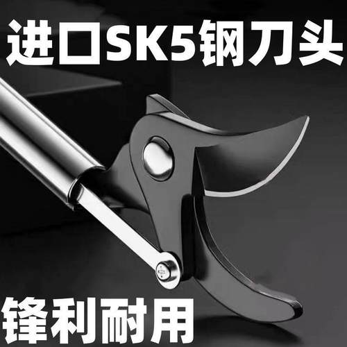 新款高GGF枝锈剪修枝疏剪不钢剪刀修剪园林花剪稀果剪枝高空修枝