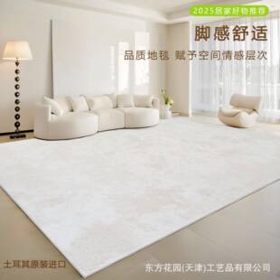 威顿机织客厅200166地毯无胶奶油地风尔土耳室其丙纶卧床边毯抗菌