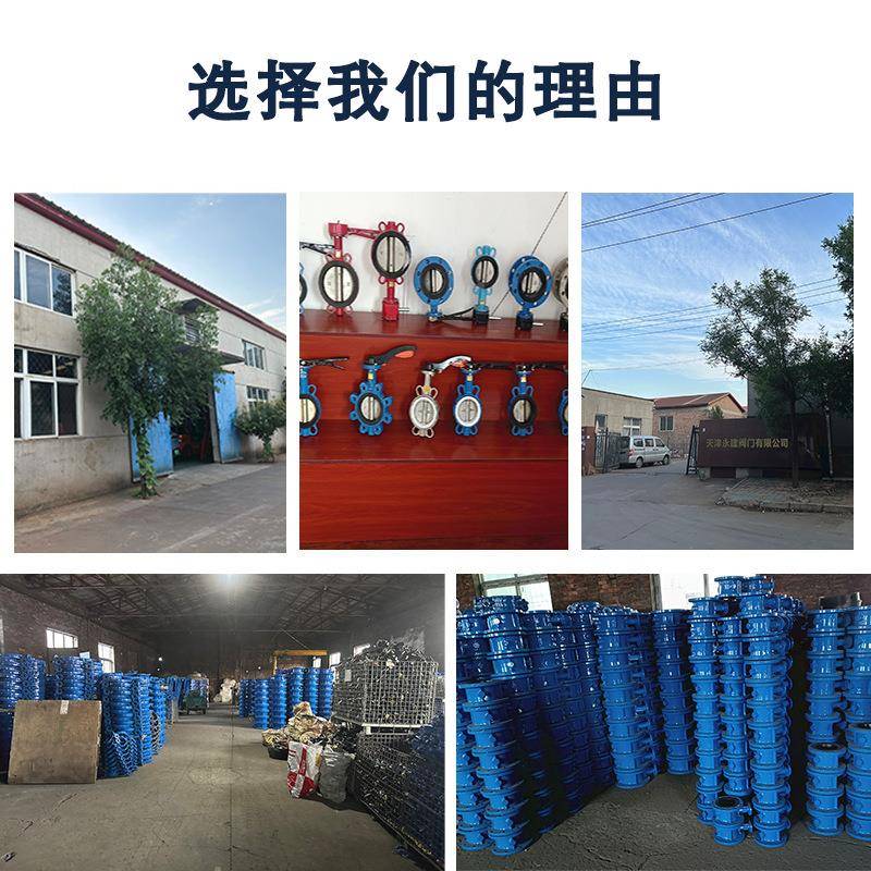 涡轮法蝶阀兰D31481F-10P对夹式截止3404软不锈钢蝶阀密封水利蝶