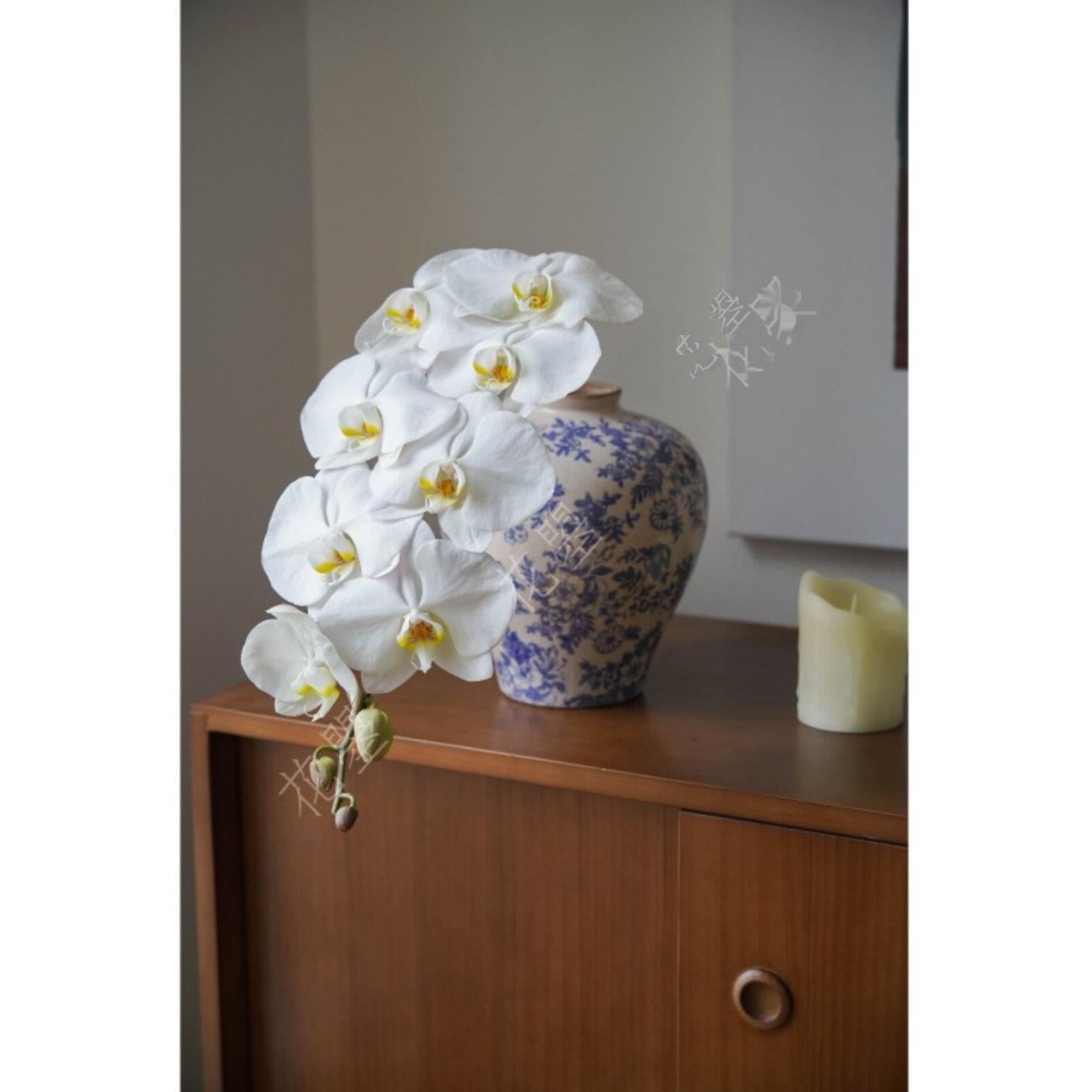 白色蝴蝶兰鲜切花真花水养鲜花青花瓷花瓶花器书桌餐桌面花瓶插花