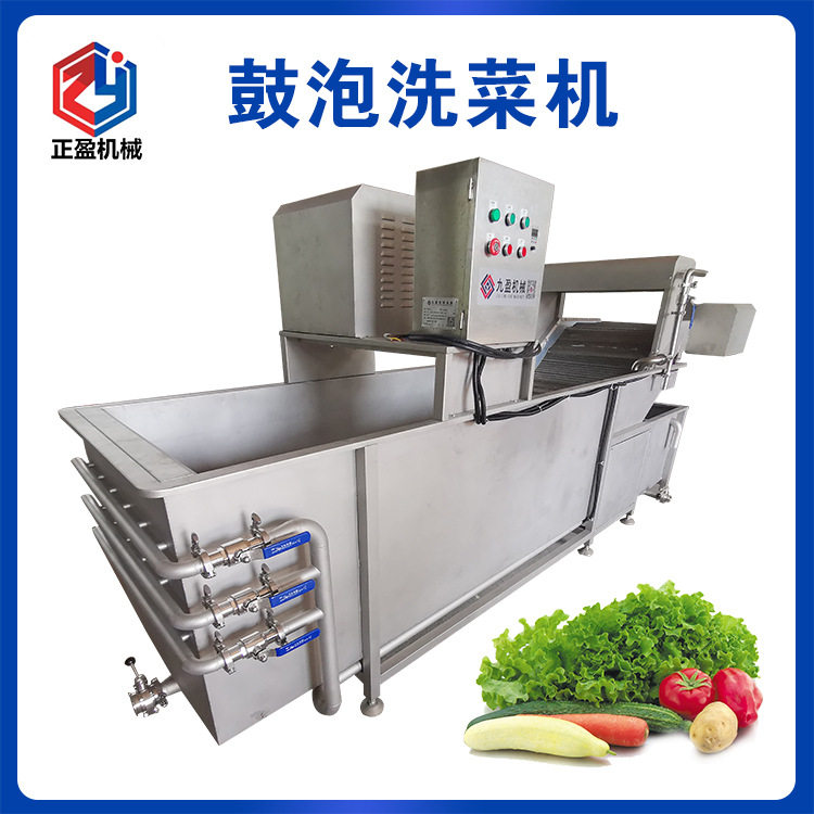 800kg/H不锈钢鼓泡果蔬清洗机