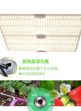 l组dBDC量子板植物e灯全谱led光植物生长灯室内培育苗生长灯