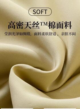 轻奢兰丝精GWQ天丝被x套单件冰被套罩150200x床230夏季床品四件套