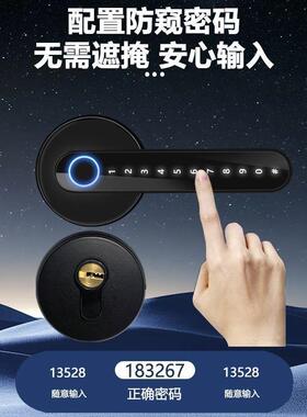 子分体智能纹锁木门房间SSN门锁家用办公室电码锁密锁室内球形指