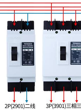 TENGEN天正电气DZ15-100/301901塑断路器3P空气开关109YVO02A壳63