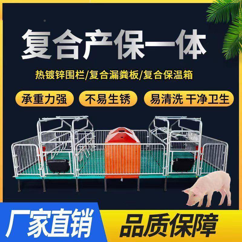 猪用产床猪产床两用EZR产一体双床体产床复合位母猪定栏仔猪保育