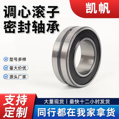 调心滚子密B封轴承B2-22142-22QYS15BS2S-2216BS2-2217BSS2-2218
