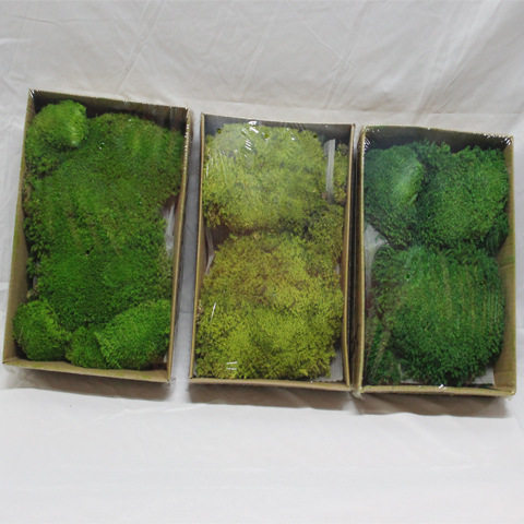 永生苔藓墙块状大藓画植物墙绿苔绿墙仿真花盆景室内仿真植物墙