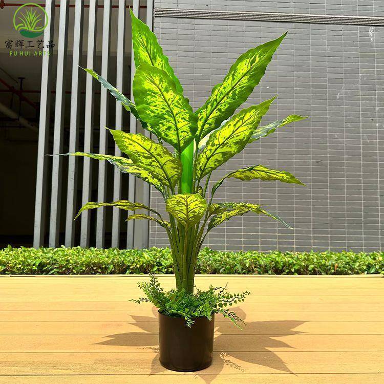 仿花叶万年青盆栽厅商真超塑胶假绿植客景UMD好养活造四季假植物