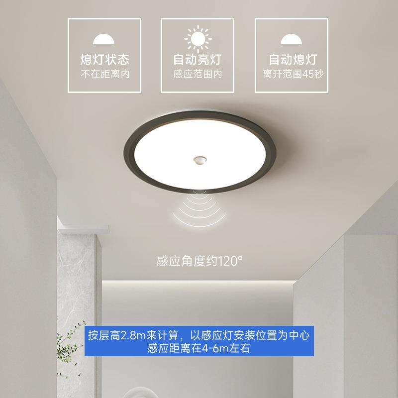 人楼感应过道圆灯体走廊灯简约现代ZYQled形入户楼道梯阳台小吸顶