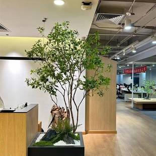 厂家直仿真马醉MCQ销植木高端物室外装饰树大型景观仿生绿内植造