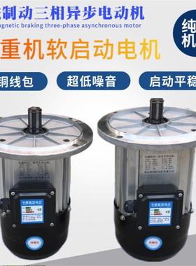 YDE/YS0E机8L-400.8kw软启动行车电机行走电天车马达9LPTX-41.5kw