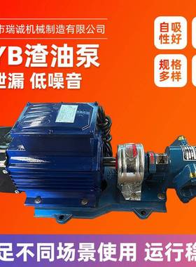 泊头瑞诚锈不钢无泄漏低噪音ybz电62356动渣油泵包渣售后高温油泵