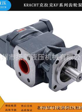 德国RAUMBHT克拉克KF5注RFC1-D15塑机齿轮泵KF6RF1-D15K增压泵