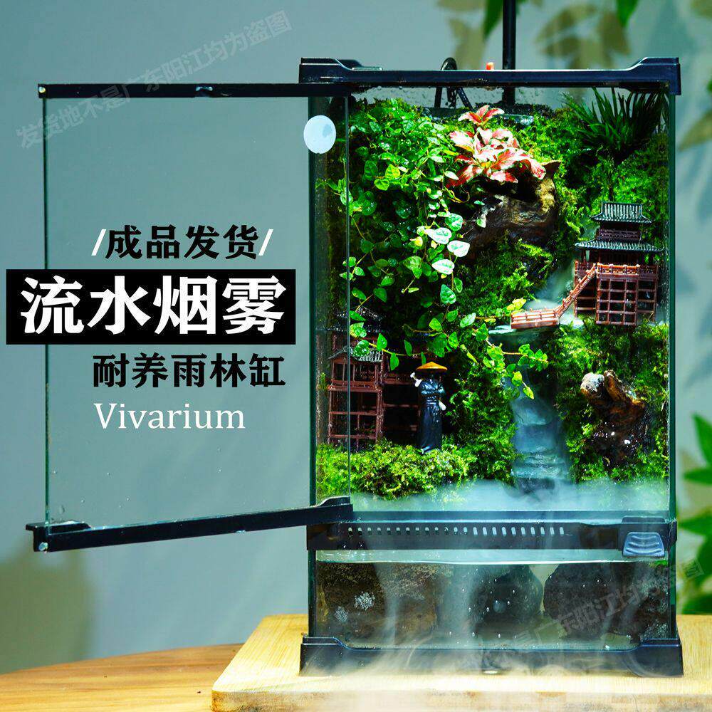 苔藓微景观雨林生态水陆缸生态缸造景成品带流水雾气中国风盆栽