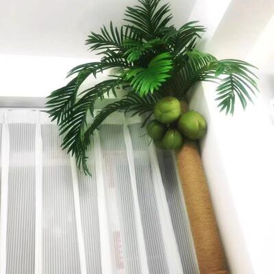 仿真椰4562xBAh子树真水绿植果树叶管道椰装下饰道遮丑室内美化阳