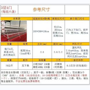 养殖阶梯蛋笼三阶层四场层鸡梯式蛋鸡笼子鸡舍家RFS用自动滚蛋养